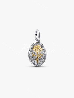 Pandora Rose Medallion Charm